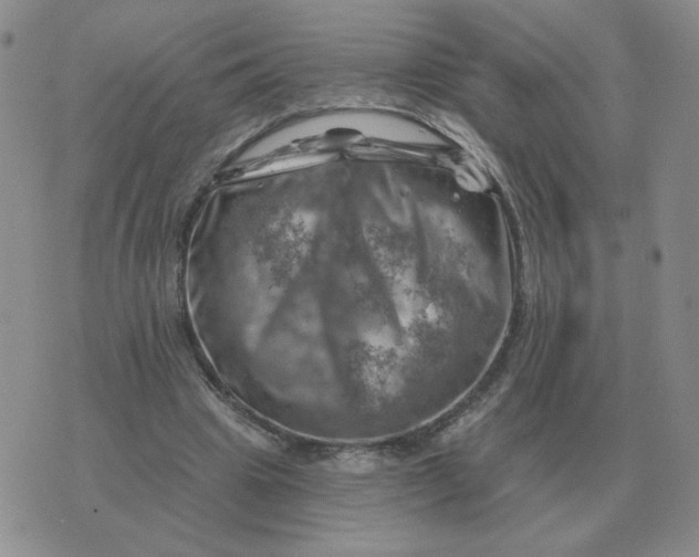 X0000074340441200609152126