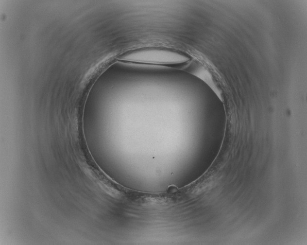 X0000074340442200609152126