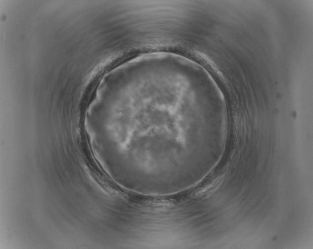 X0000074340443200609152126