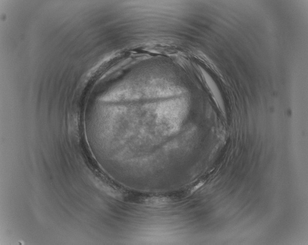 X0000074340444200609152126