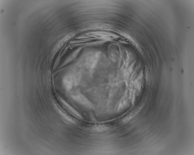 X0000074340445200609152126