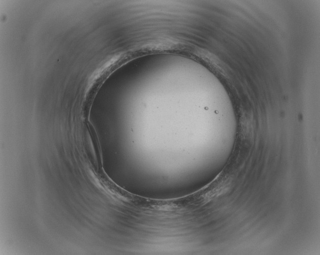 X0000074340446200609152126