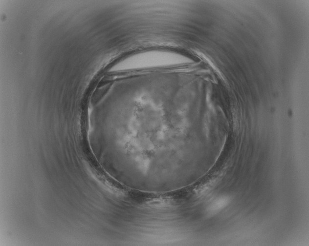 X0000074340447200609152126