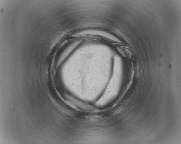 X0000074340448200609152126