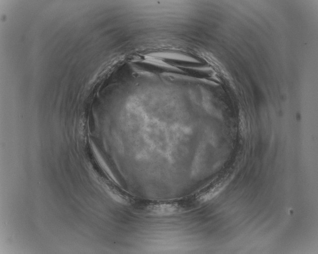 X0000074340449200609152126