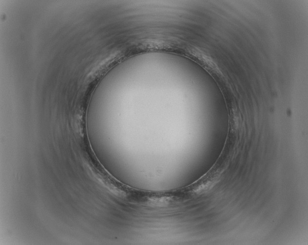 X0000074340450200609152126