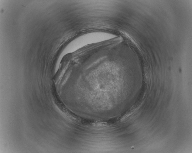 X0000074340451200609152126