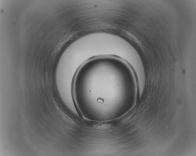 X0000074340452200609152126