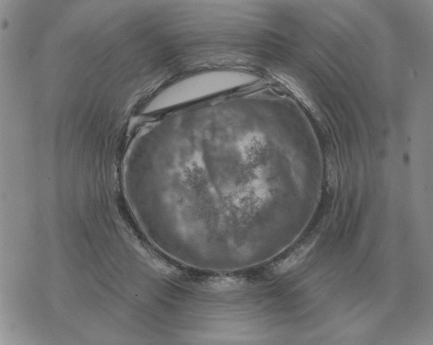 X0000074340453200609152126