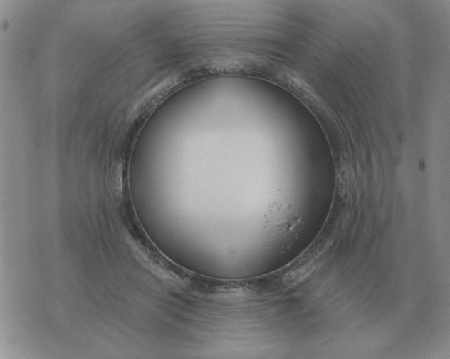 X0000074340454200609152126