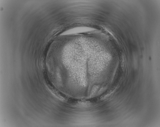 X0000074340455200609152126