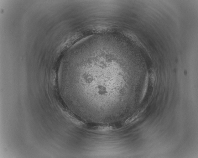 X0000074340458200609152126