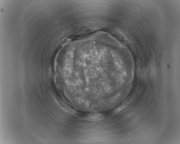 X0000074340459200609152126