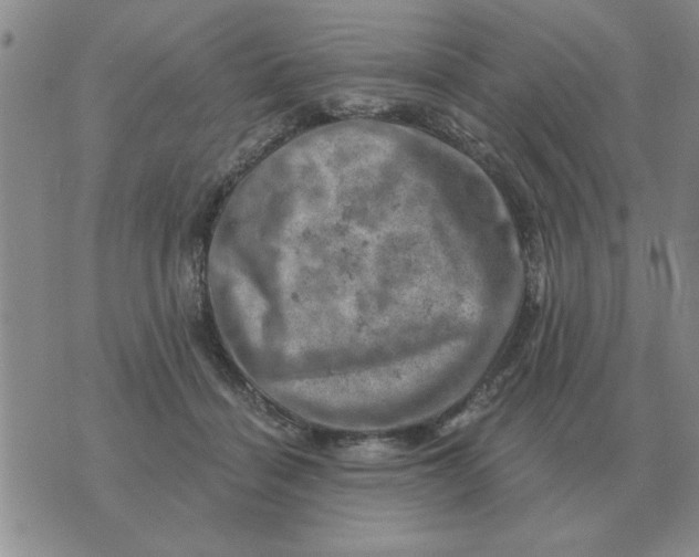 X0000074340460200609152126