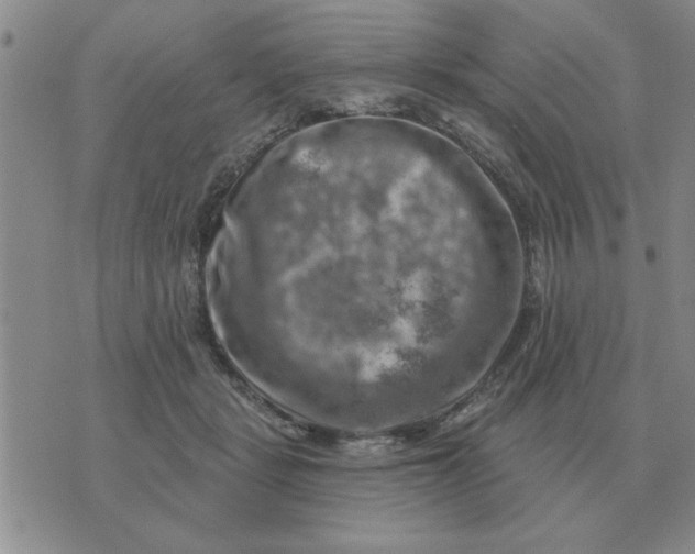 X0000074340461200609152126