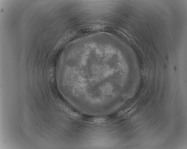 X0000074340462200609152126