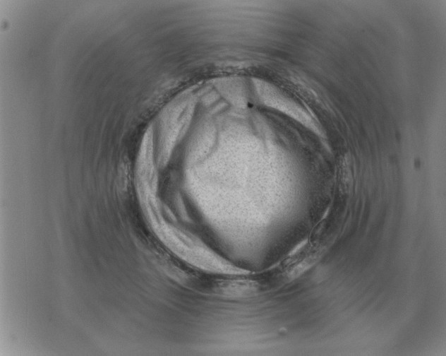 X0000074340463200609152126