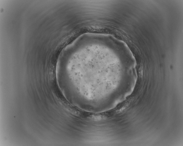 X0000074340464200609152126