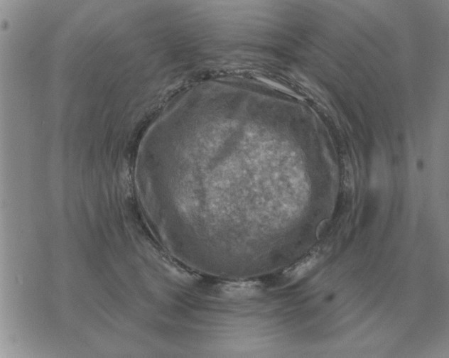 X0000074340465200609152126