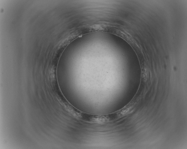 X0000074340466200609152126