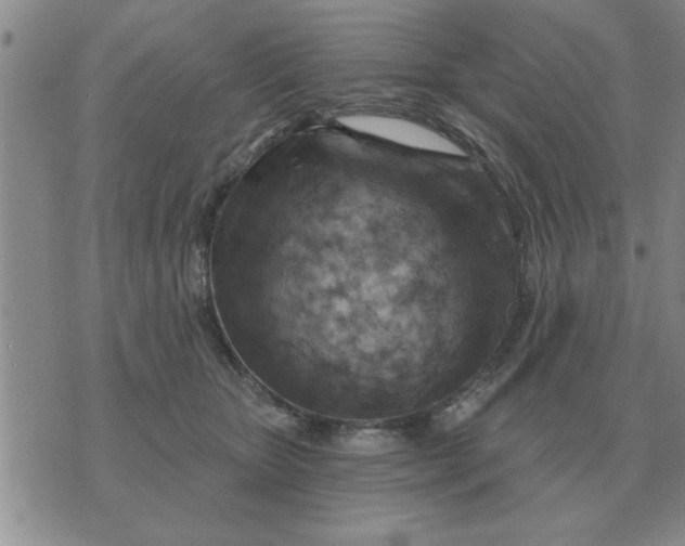 X0000074340467200609152126