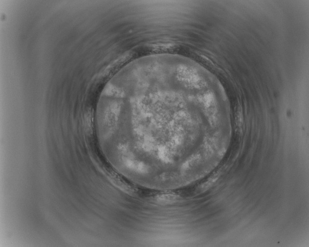 X0000074340468200609152126