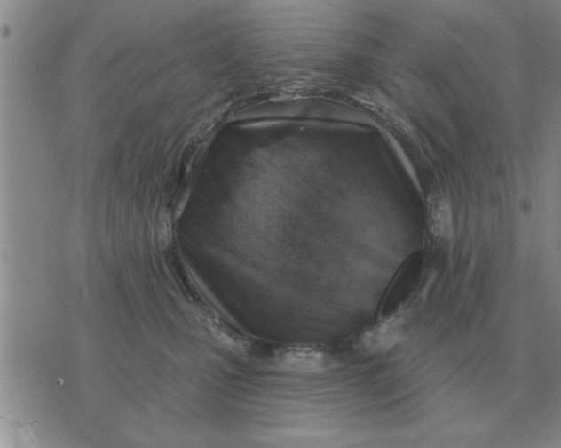 X0000074340471200609152126