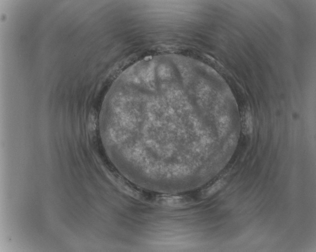 X0000074340472200609152126