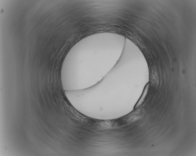 X0000074340473200609152126