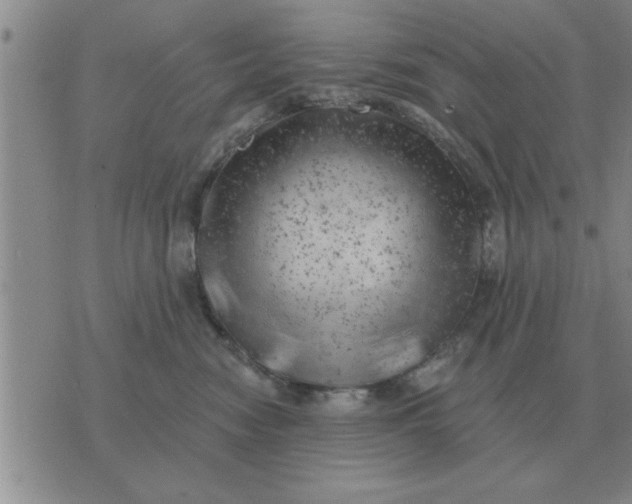 X0000074340474200609152126