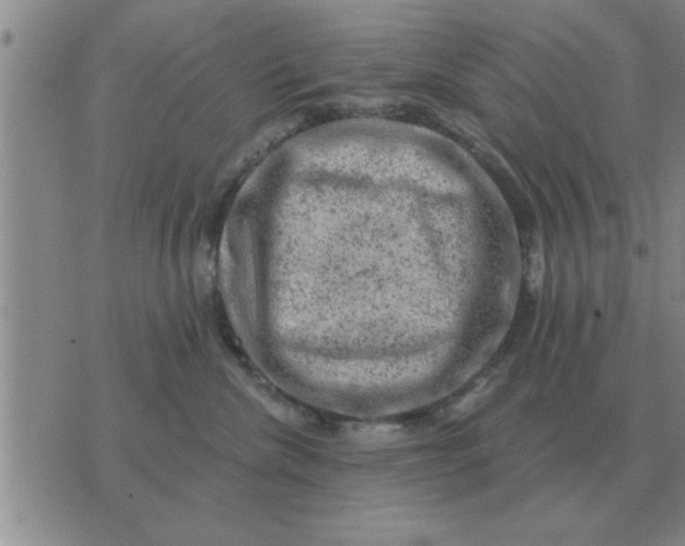 X0000074340476200609152126