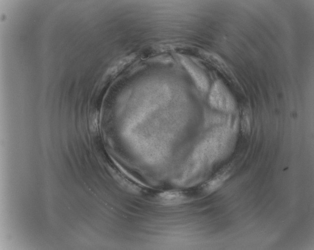 X0000074340477200609152126