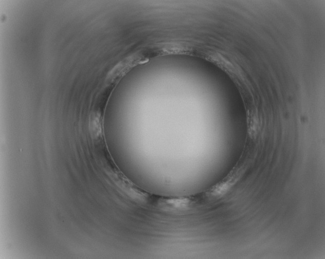 X0000074340478200609152126