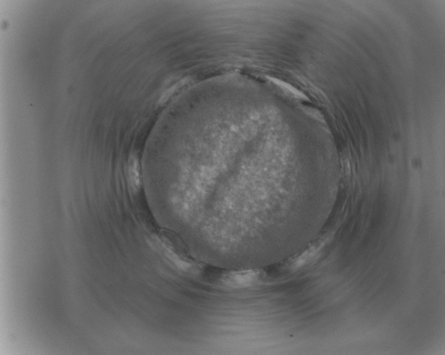 X0000074340479200609152127