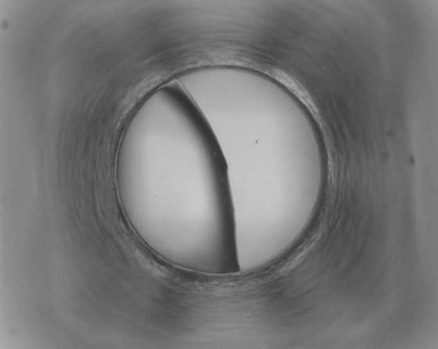 X0000074340481200609152126