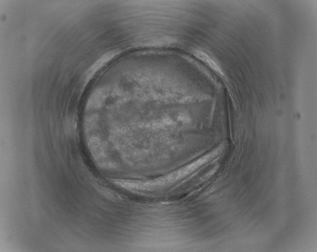 X0000074340483200609152126