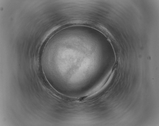 X0000074340484200609152126