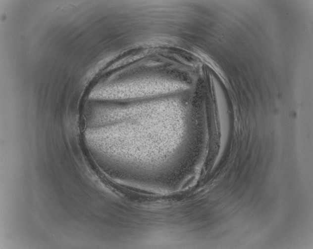 X0000074340485200609152126