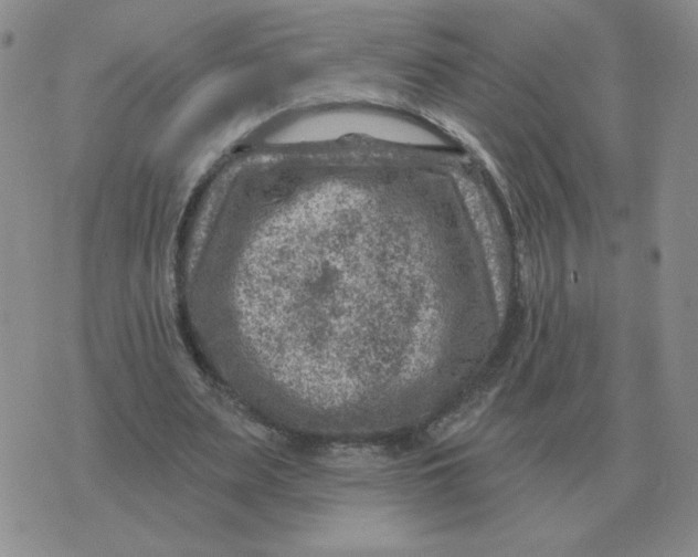 X0000074340487200609152126