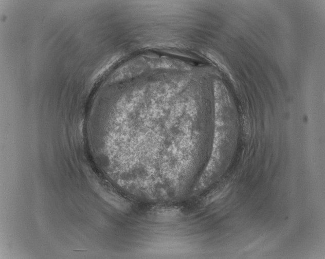 X0000074340491200609152126