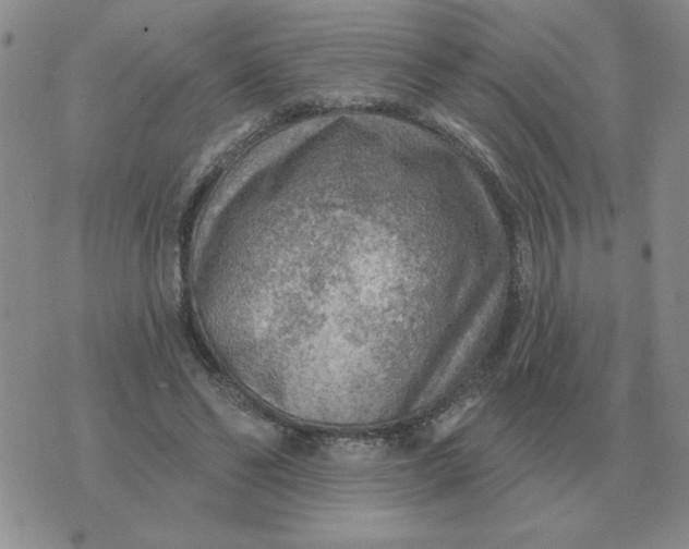 X0000074340494200609152126