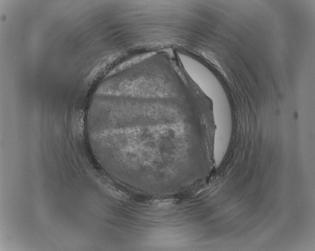 X0000074340495200609152126