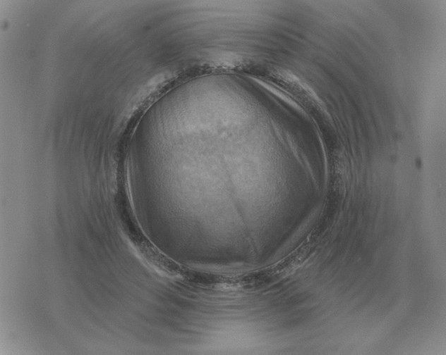 X0000074340496200609152125