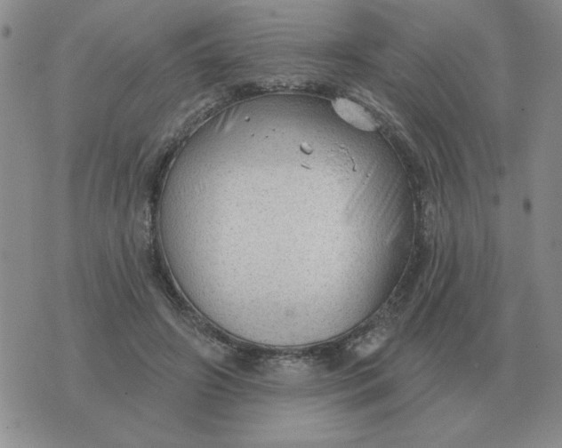 X0000074340498200609152125