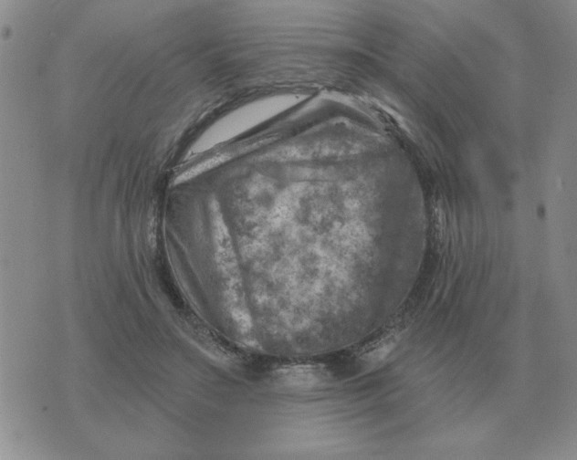 X0000074340499200609152125