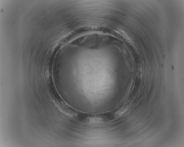 X0000074340500200609152125