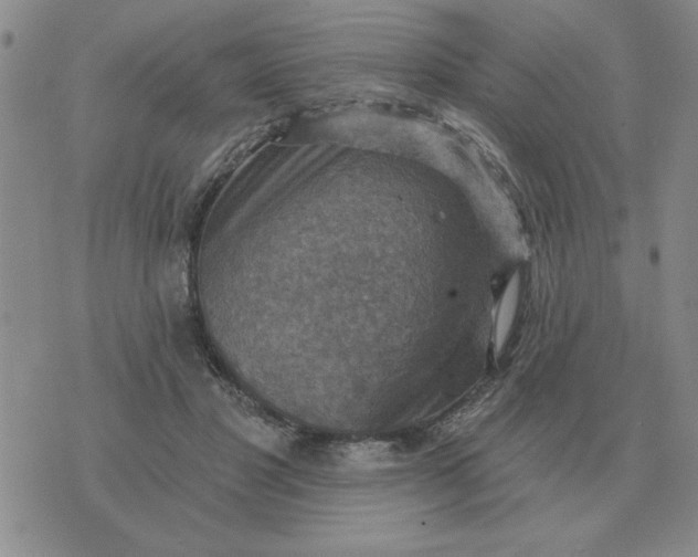 X0000074340501200609152125