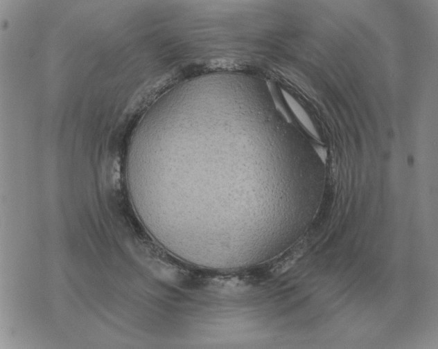 X0000074340502200609152125