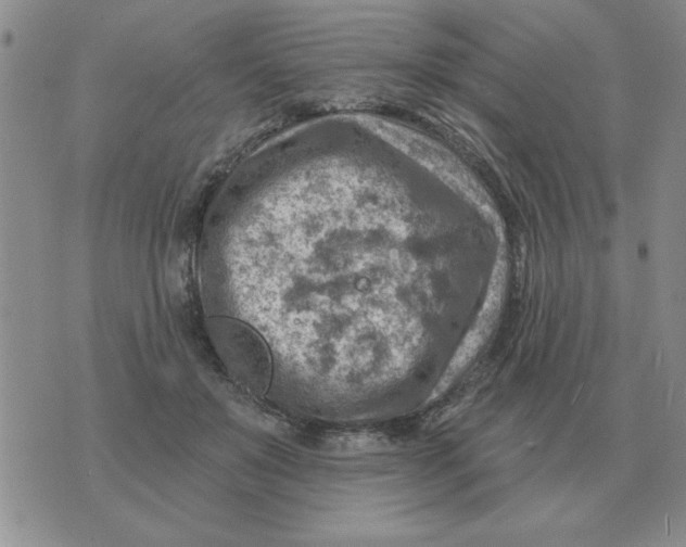 X0000074340503200609152125