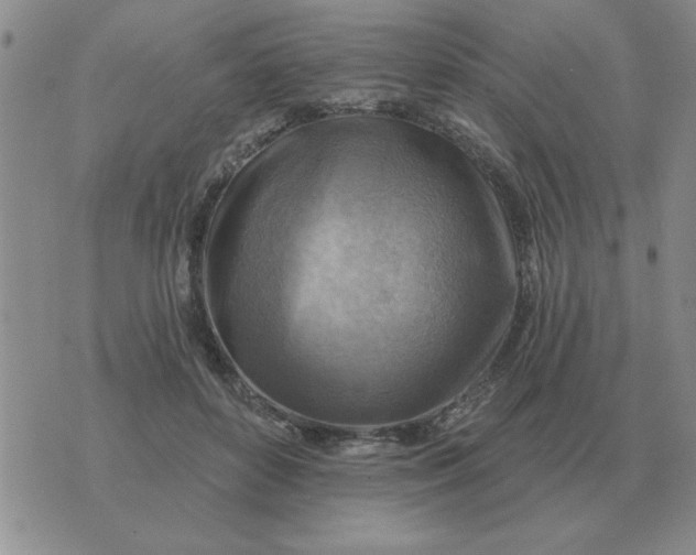 X0000074340504200609152125